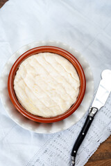 French dauphinois cheeses collection, Saint-Marcellin, Saint- Felicien cow's milk cheese with white mold from Rhône-Alpes region of France