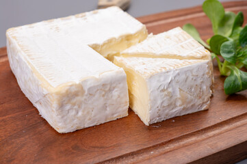 French soft squared pont l'eveque cow cheese from Calvados department, Normandy, France