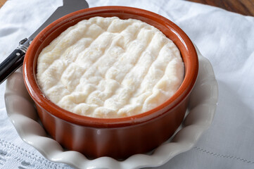 French dauphinois cheeses collection, Saint-Marcellin, Saint- Felicien cow's milk cheese with white mold from Rhône-Alpes region of France