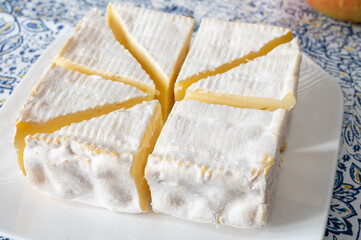 French squared pont l'eveque cow cheese from Calvados department, Normandy, France
