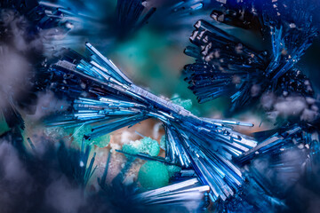 light blue Clinoclase with green Malachite. Specimen from Clara mine, Oberwolfach, Germany. Micro photography extreme close-up. microscope mineral crystal photography 