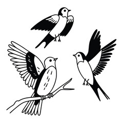 Birds Set Vector Design Silhouette 