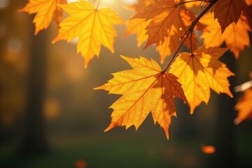 Glowing golden maple leaves suspended in mid-air, color, lighting effects, atmosphere