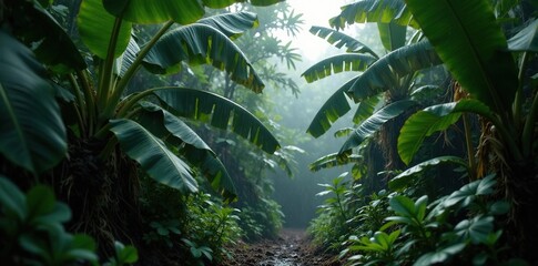 Tropical jungle with black and white raindrops on banana trees, jungle, brown, nature