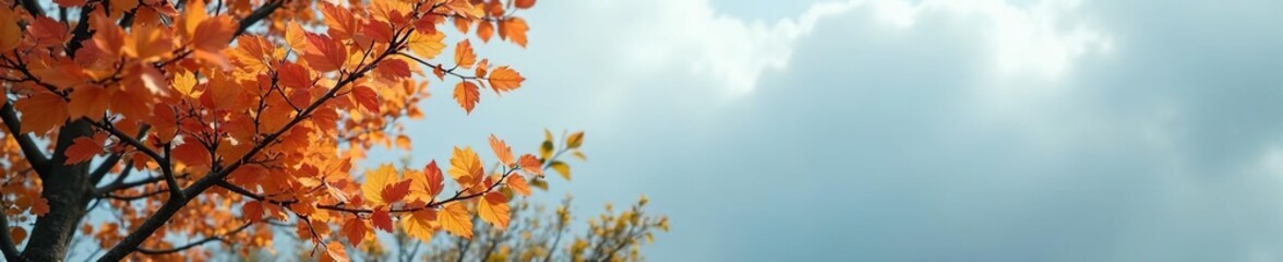 Foliage of Streblus asper against a cool gray sky background, nature, foliage, leaves