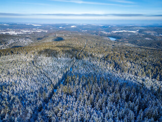 Aerial view of a snow-covered forest landscape with green fir trees, a clear blue sky, a calm lake and distant mountains