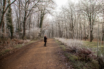 Cencellada en Espinosa