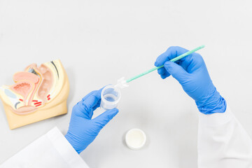 Doctor demonstrates cervical cancer screening on white background.Gynecologist wear blue gloves...