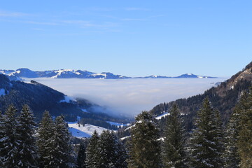 Schw&auml;galp,Appenzell,Winterwunderland,Schweiz,Natur