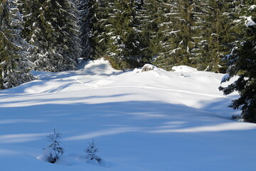 Schwägalp,Appenzell,Winterwunderland,Schweiz,Natur
