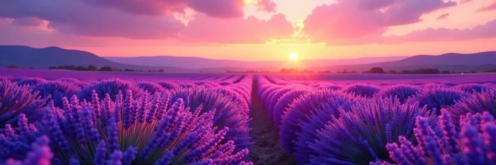 Lavender sunset over a serene landscape with silvery stripes, purple, landscape