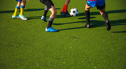The image captures a group of young soccer players in colorful jerseys engaged in a match on a...