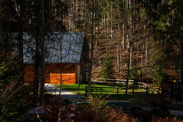 Wooden cabin surrounded by forest in autumn sunlight, Holidays in the mountains