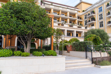 Plants on a city street. Green natural decoration
