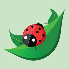 Obraz premium A clean and modern vector illustration of a ladybug resting on a curved green leaf. 