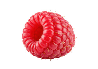 Raspberry realistic isolated on White background