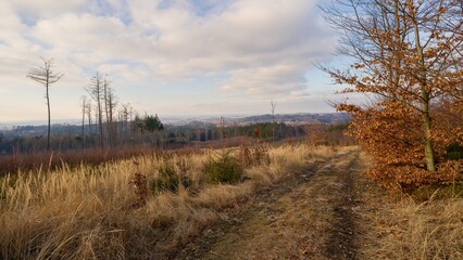 February afternoon on the slope of Křemešník hill, dramatic sky, wide-angle view
