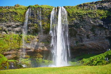 Obraz premium Scenic view of Seljalandsfoss, one of the biggest waterfalls of Iceland, with rainbow.