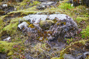 Majestic summer landscapes with cliffs and fields in Southern Iceland.