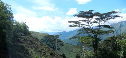 Naturaleza: se agota la vida en la montaña