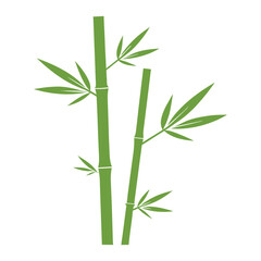 a bamboo stalk with minimalist leaves.