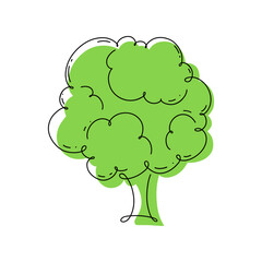 Broccoli cabbage, icon hand-drawn with one line isolated on white, color illustration, vector. Beautiful fresh vegetable for decoration, label, design. Graphic drawing, flat design