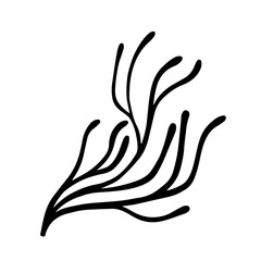 Seaweed silhouette, decorative botanical element. Vector graphics.