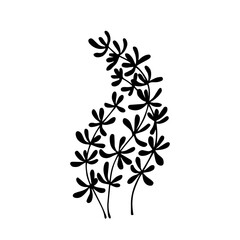 Seaweed silhouette, decorative botanical element. Vector graphics.