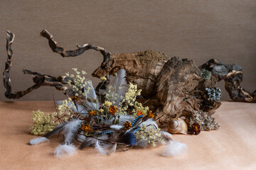 still life, phyto design, composition of dry flowers, branches, wood, bird feathers.