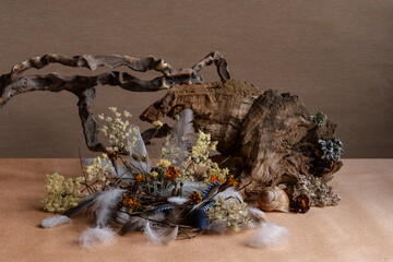 still life, phyto design, composition of dry flowers, branches, wood, bird feathers.