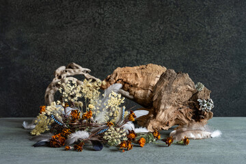 still life, phyto design, composition of dry flowers, branches, wood, bird feathers.