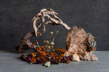 still life, phyto design, composition of dry flowers, branches, wood, bird feathers.