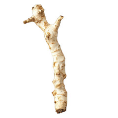 Fototapeta premium Horseradish root on transparent background
