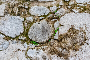 Muralla antigua