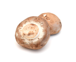 Common mushrooms on white background