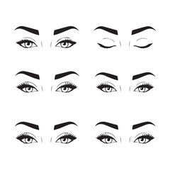 black and white illustration, eyebrows and eyes, eyelashes 