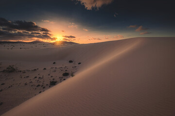 Fuerteventura - Corralejo - Dunes