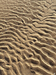 Wavy patterns in the wet sand of Golden Sands beach during low tide at sunset.