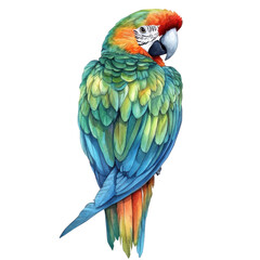 Colorful macaw parrot perched with vibrant feathers and distinctive markings png isolated
