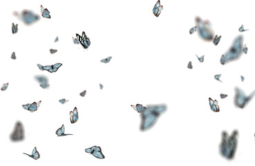 Colorful butterflies wander through the air, offering a serene and enchanting view, showcasing...
