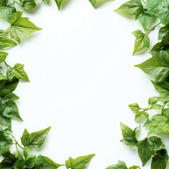A fresh arrangement of vibrant green leaves forms a natural frame around a blank space, symbolizing growth, nature, and tranquility. Perfect for eco-friendly themes and designs.