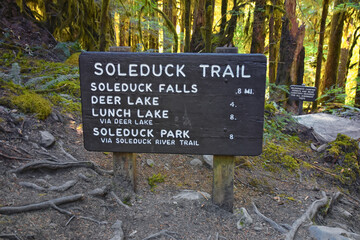 Sol Duc Falls hiking trail Soleduck waterfall view in summer 2024 Olympic National Park, Washington, United States