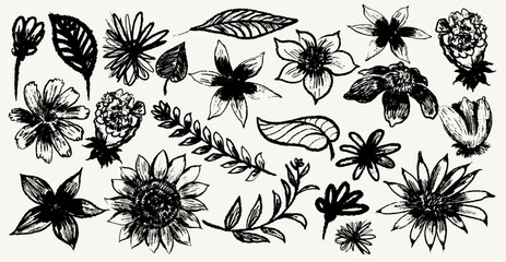 Set of floral design element nature. Meadow plants, leaves, leaf and flowers. Collection of botanical collage in modern flat style. Floral black silhouettes. Floral vector drawings, print, pattern.