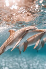 Image of A pod of dolphins leaps joyfully through the surface of the water, showcasing their sleek forms under soft rays of light. The shimmering sea adds to the serene beauty of the moment printed on Printed Aluminium Shower Panels