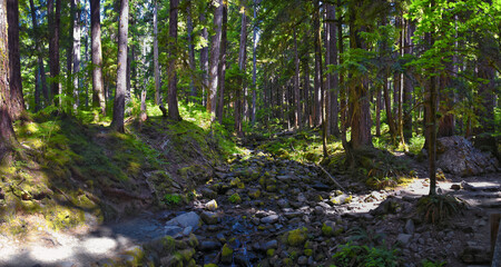 Sol Duc Falls hiking trail Soleduck waterfall view in summer 2024 Olympic National Park, Washington, United States