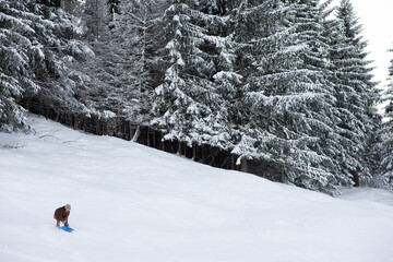 little girl in the mountains with a wooden sleigh in winter. Christmas celebration and winter holidays.