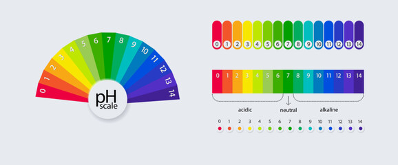 pH scale chart for acid and alkaline solutions. Acid-base balance infographic. Vector