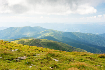 nature landscape with alpine grassy meadow of mnt. petros in dappled light. carpathian mountain scenery of ukraine in summer. popular travel destination of transcarpathia. green environment