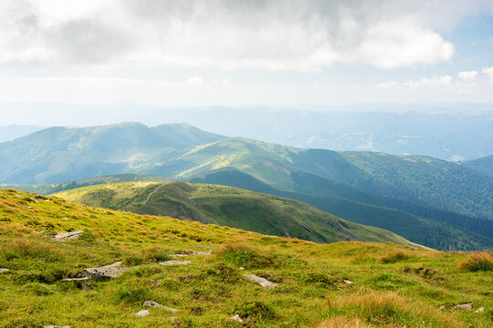 nature landscape with alpine grassy meadow of mnt. petros in dappled light. carpathian mountain scenery of ukraine in summer. popular travel destination of transcarpathia. green environment