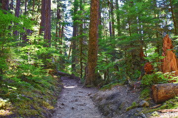 Sol Duc Falls hiking trail Soleduck waterfall view in summer 2024 Olympic National Park, Washington, United States
